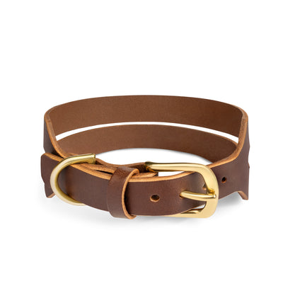 Halo wide leather dog collar in coffee brown from The Dogs Company, showing the textured leather and sturdy buckle.