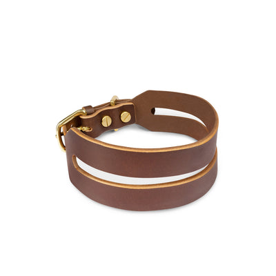 Leather Halo Wide Dog Collar in Coffee Brown by The Dogs Company, showing a close-up of the wide, stylish dog collar.