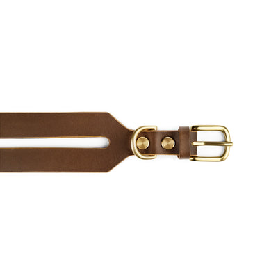 Leather dog collar in coffee brown with halo design by The Dogs Company, featuring adjustable strap and metal buckle.