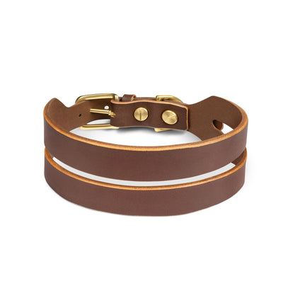 Leather Halo Wide Dog Collar in coffee brown from The Dogs Company, featuring a sturdy design and smooth leather finish.