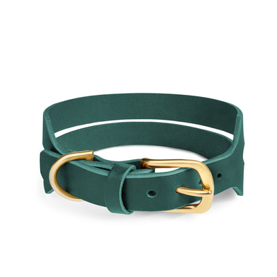 Halo Wide Dog Collar in Forest Green by The Dogs Company, showing a close-up of the leather collar with a sturdy buckle.