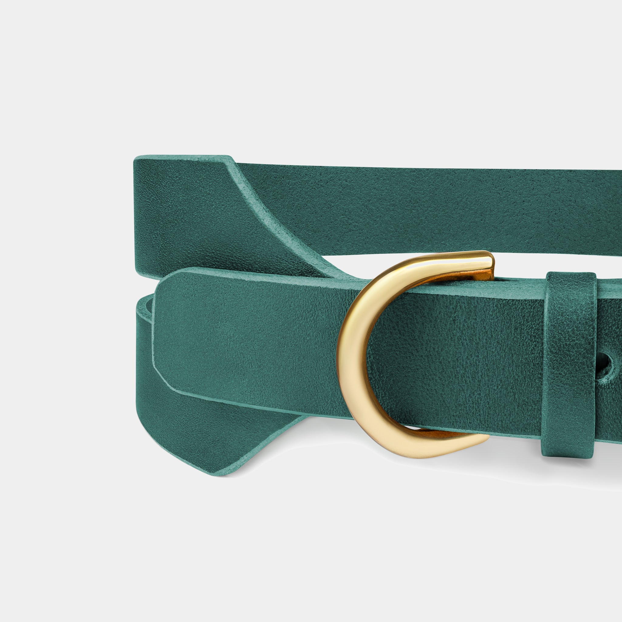 Halo Wide Dog Collar in Forest Green