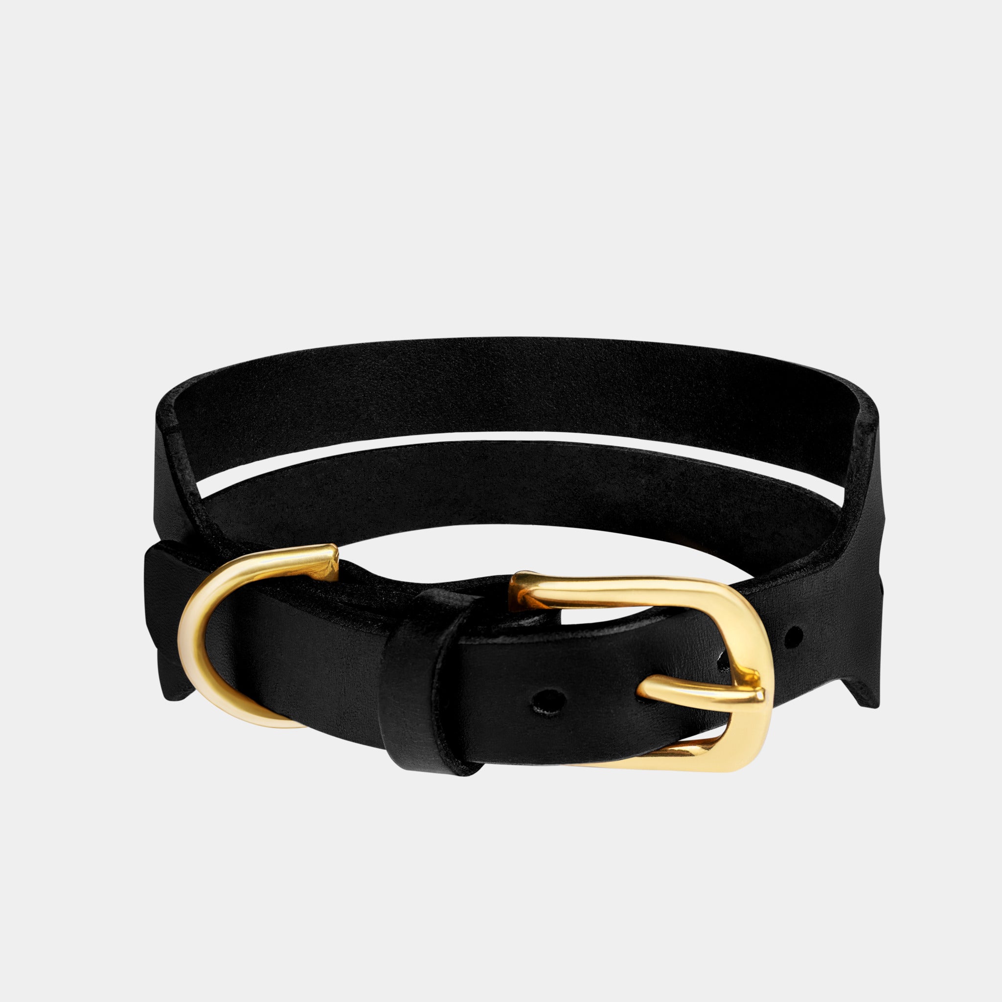 Halo Wide Dog Collar in Noir