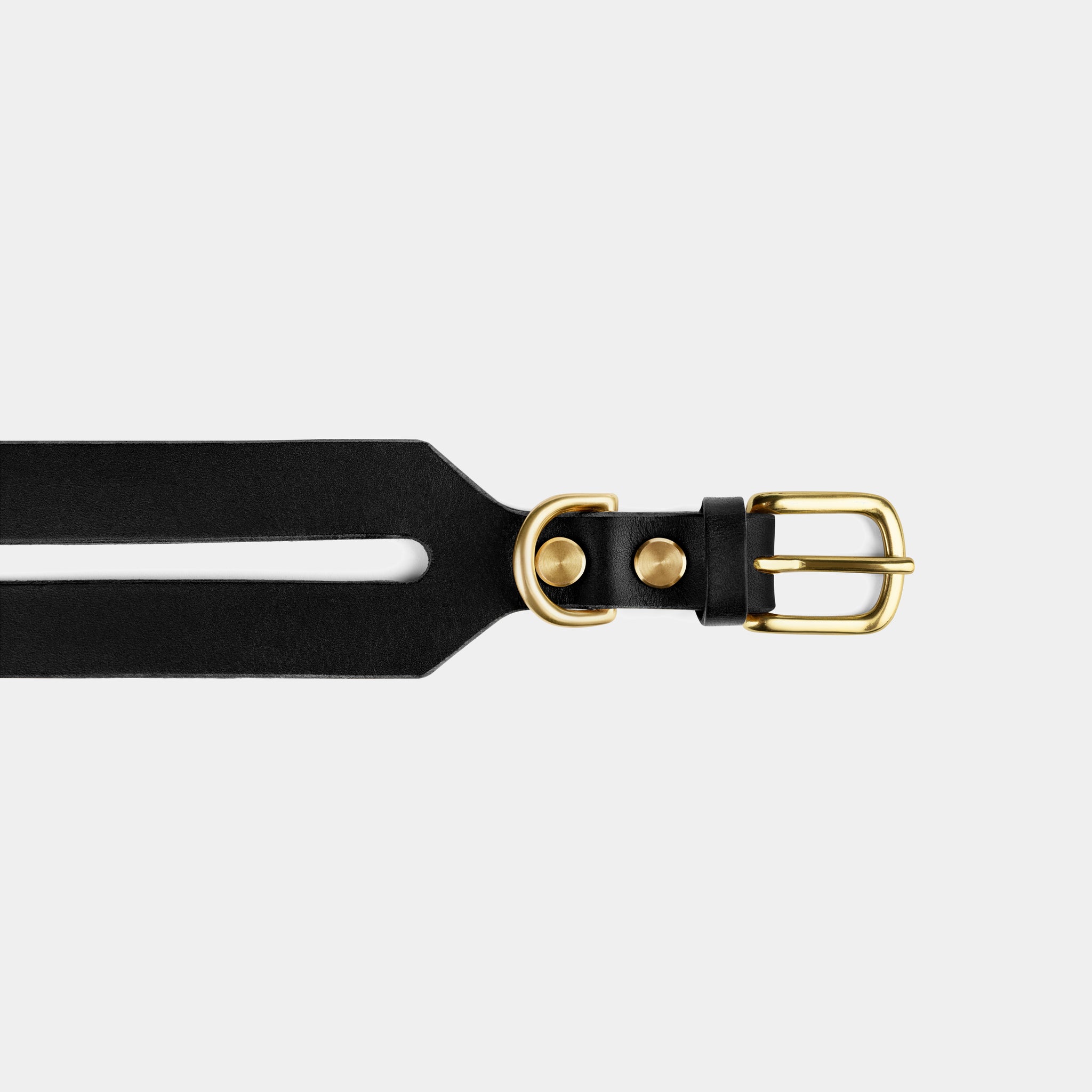 Halo Leather Collar & Aura Handsfree Leash in Noir