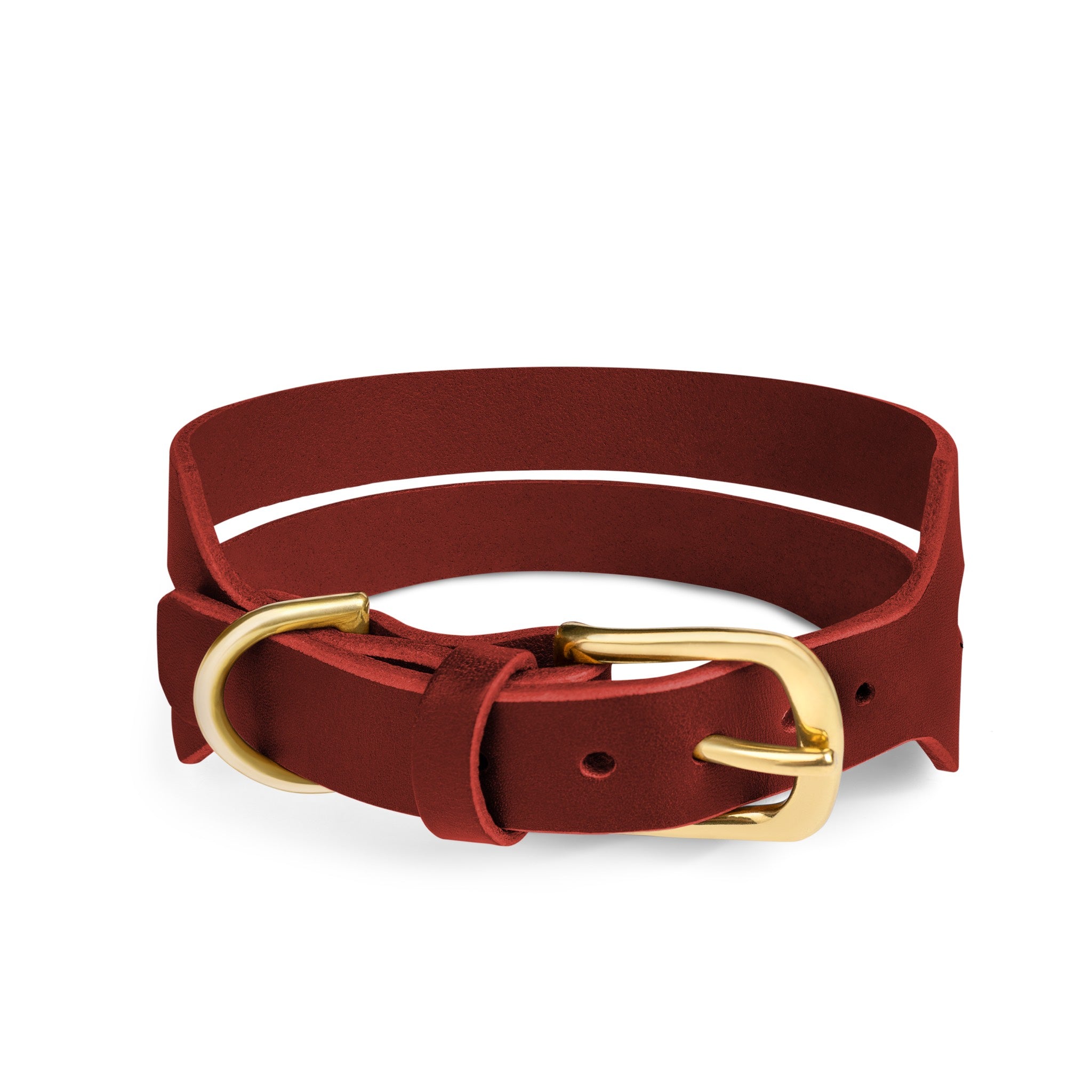 Red leather Halo Wide Dog Collar by The Dogs Company with a sturdy buckle and padded design for comfortable pet wear.