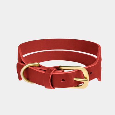 Halo Wide Dog Collar in Burgundy Red