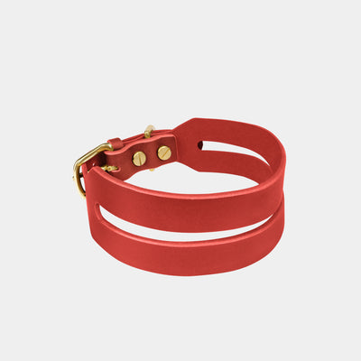 Halo Wide Dog Collar in Burgundy Red