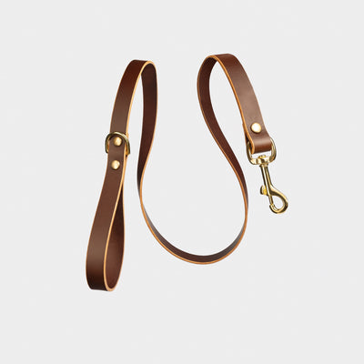 Heritage City Leather Leash in Coffee Brown