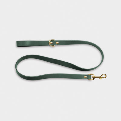 Heritage City Leather Leash in Forest Green