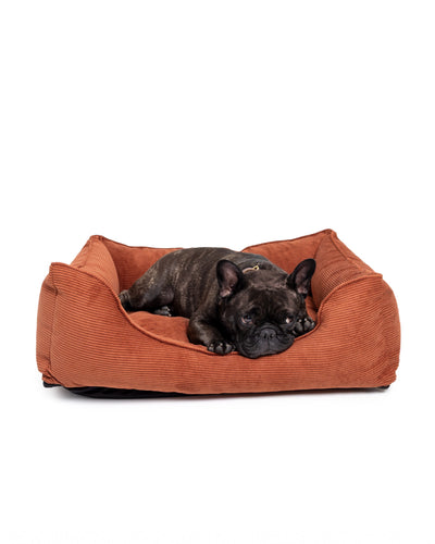 French Bulldog resting on The Dogs Company Ridge Lounge Bed, a soft and cozy pet bed for comfort and relaxation.