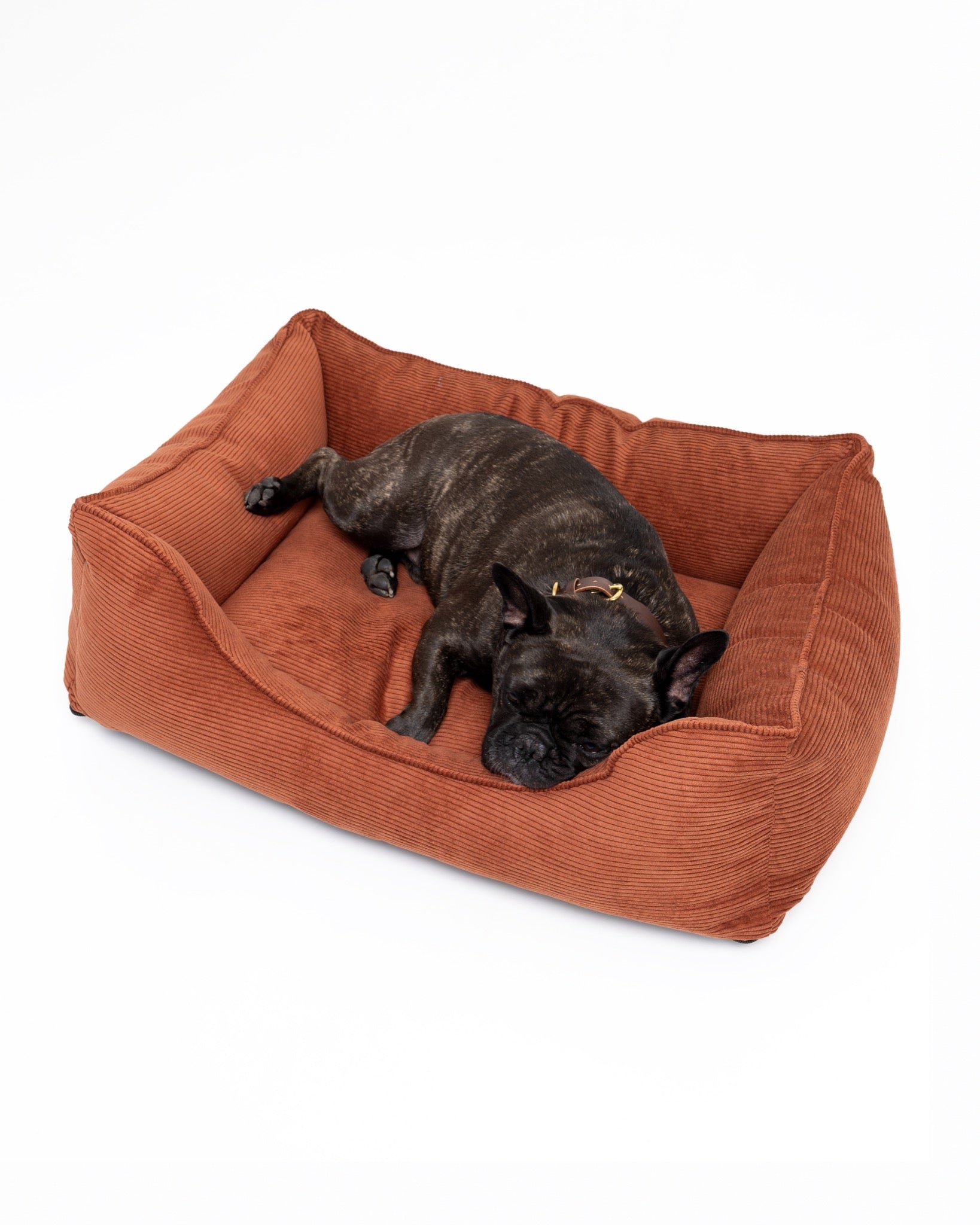 French Bulldog resting on The Dogs Company Ridge Lounge Bed, a cozy pet bed with a soft, elevated design for comfort.