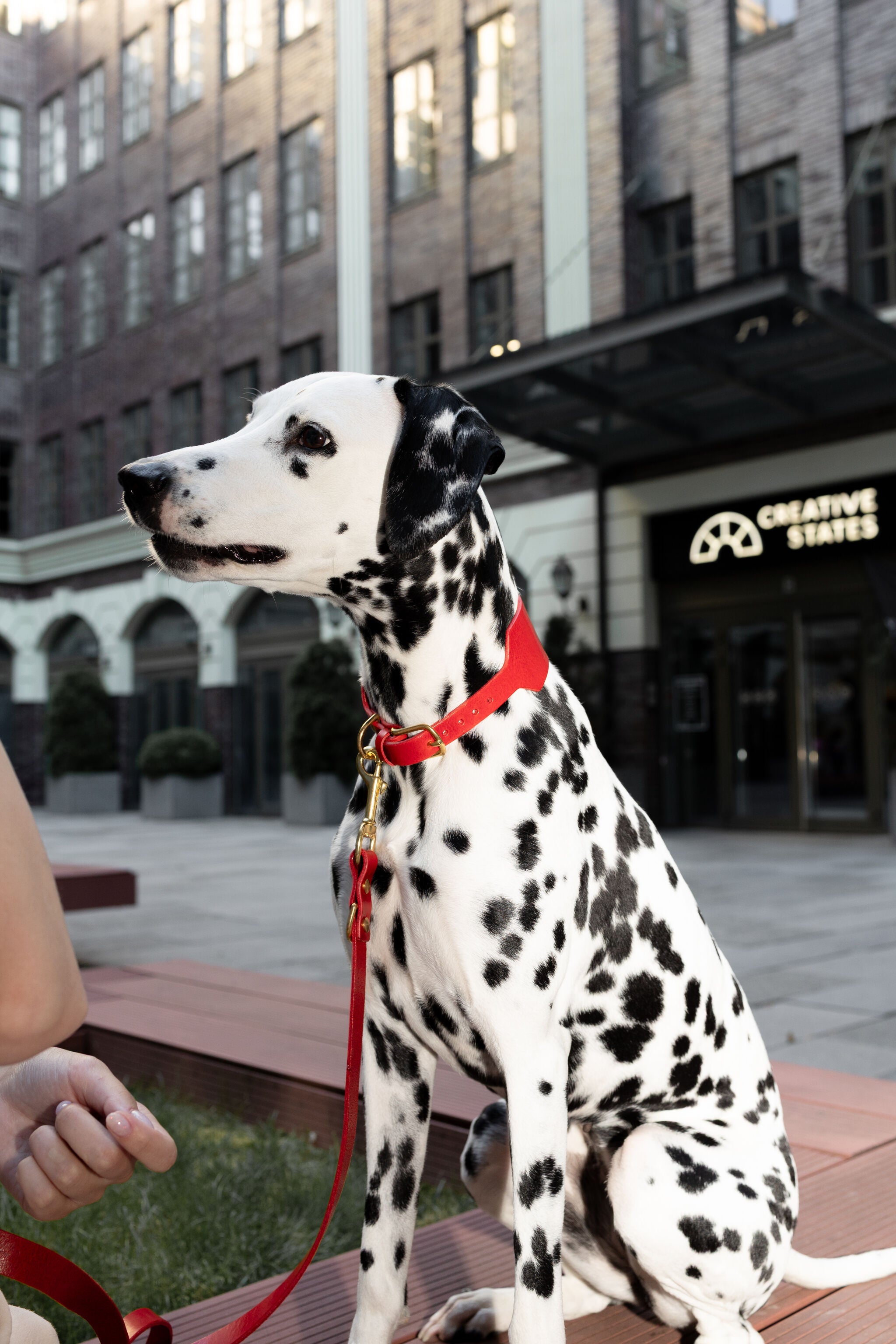 Heritage City Leather Leash in Burgundy Red