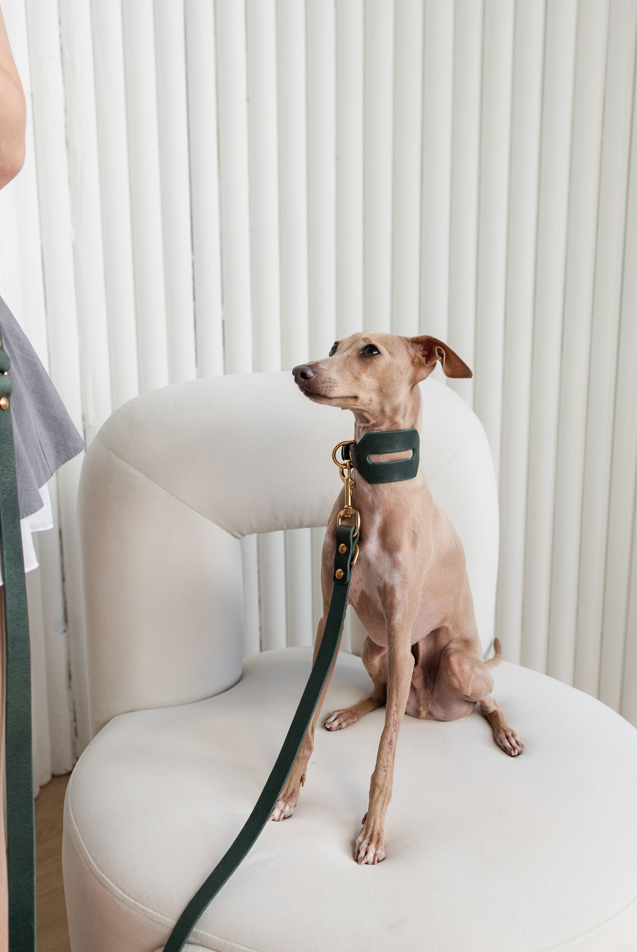 Aura Hands-Free Leather Leash in Forest Green