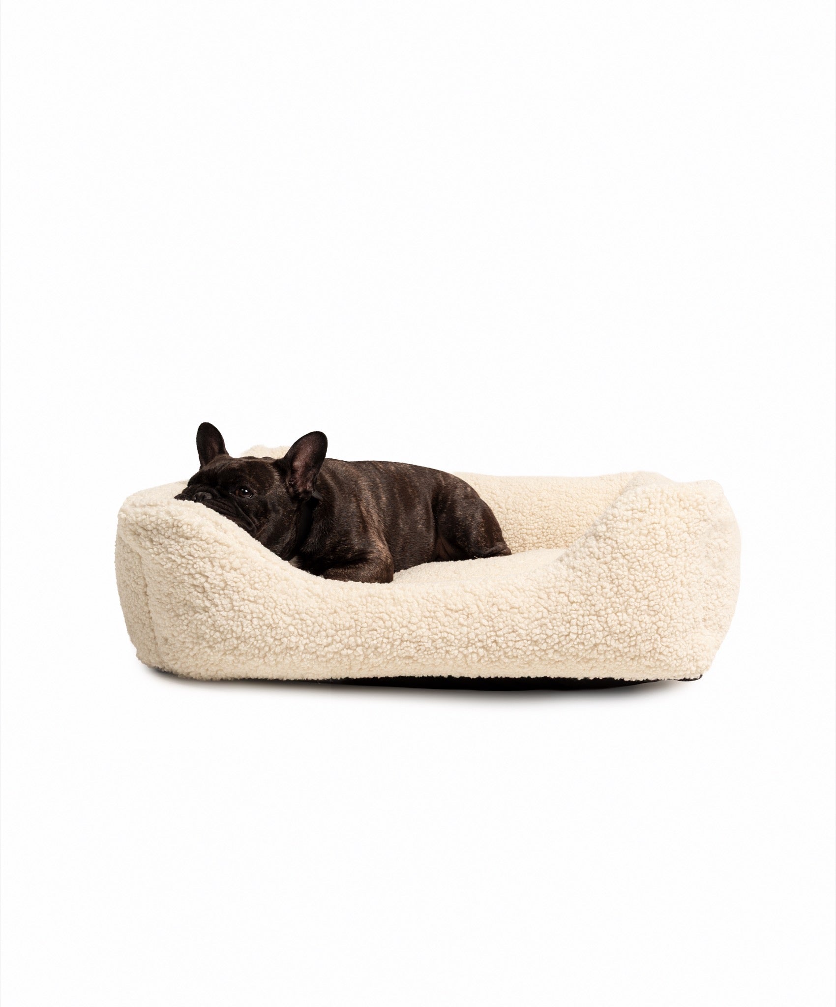 Soft Teddy Lounge Pet Bed by The Dogs Company with plush fabric, perfect for small dogs like French Bulldogs.