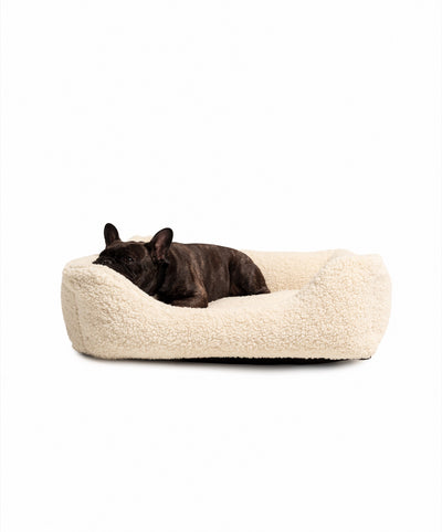 Soft Teddy Lounge Pet Bed by The Dogs Company with plush fabric, perfect for small dogs like French Bulldogs.
