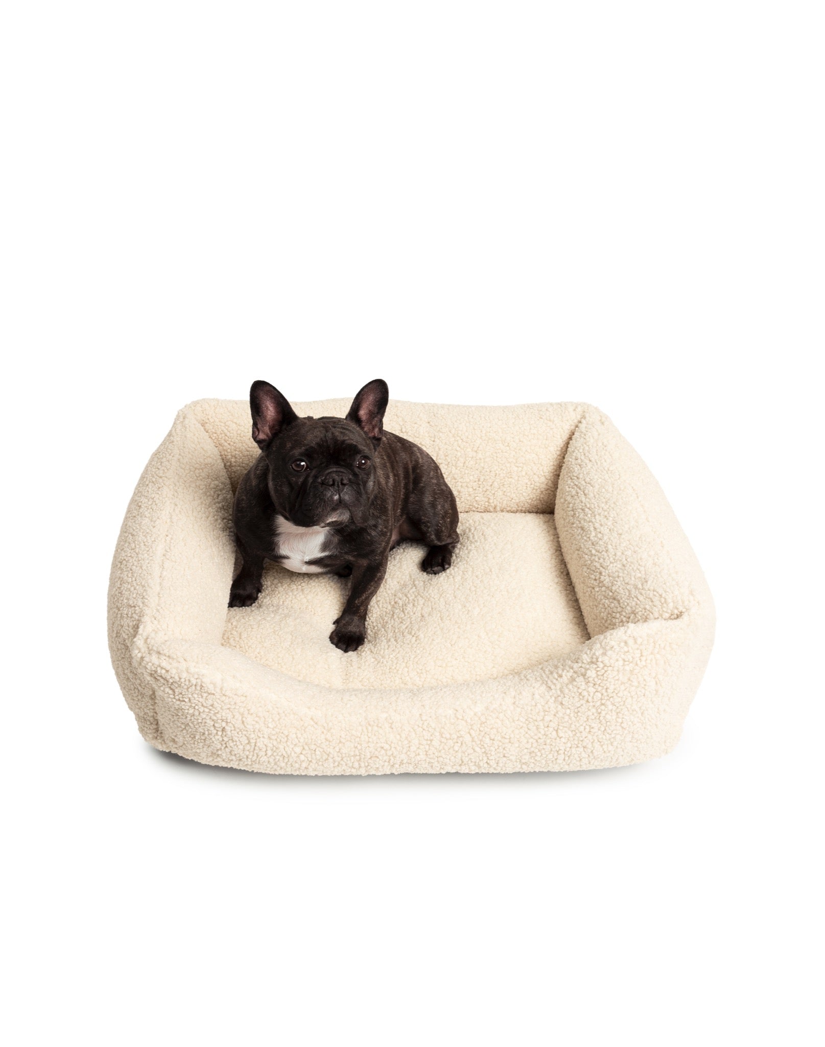 Soft Teddy Lounge Pet Bed by The Dogs Company, featuring plush fabric and cozy design for French Bulldog comfort.