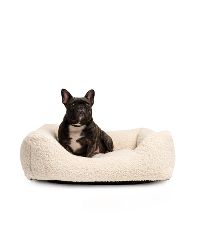 Soft Teddy Lounge Pet Bed by The Dogs Company, plush fabric and cozy design for French Bulldog comfort.
