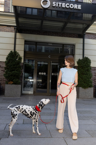 Grace Leather Collar & Aura Handsfree Leash in Burgundy Red