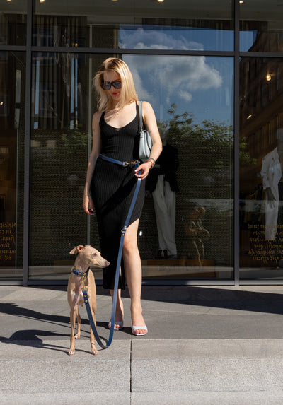 Aura Hands-Free Leather Leash in Midnight Navy