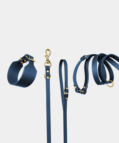 Atlas Leather Collar & Aura Handsfree Leash in Midnight Navy