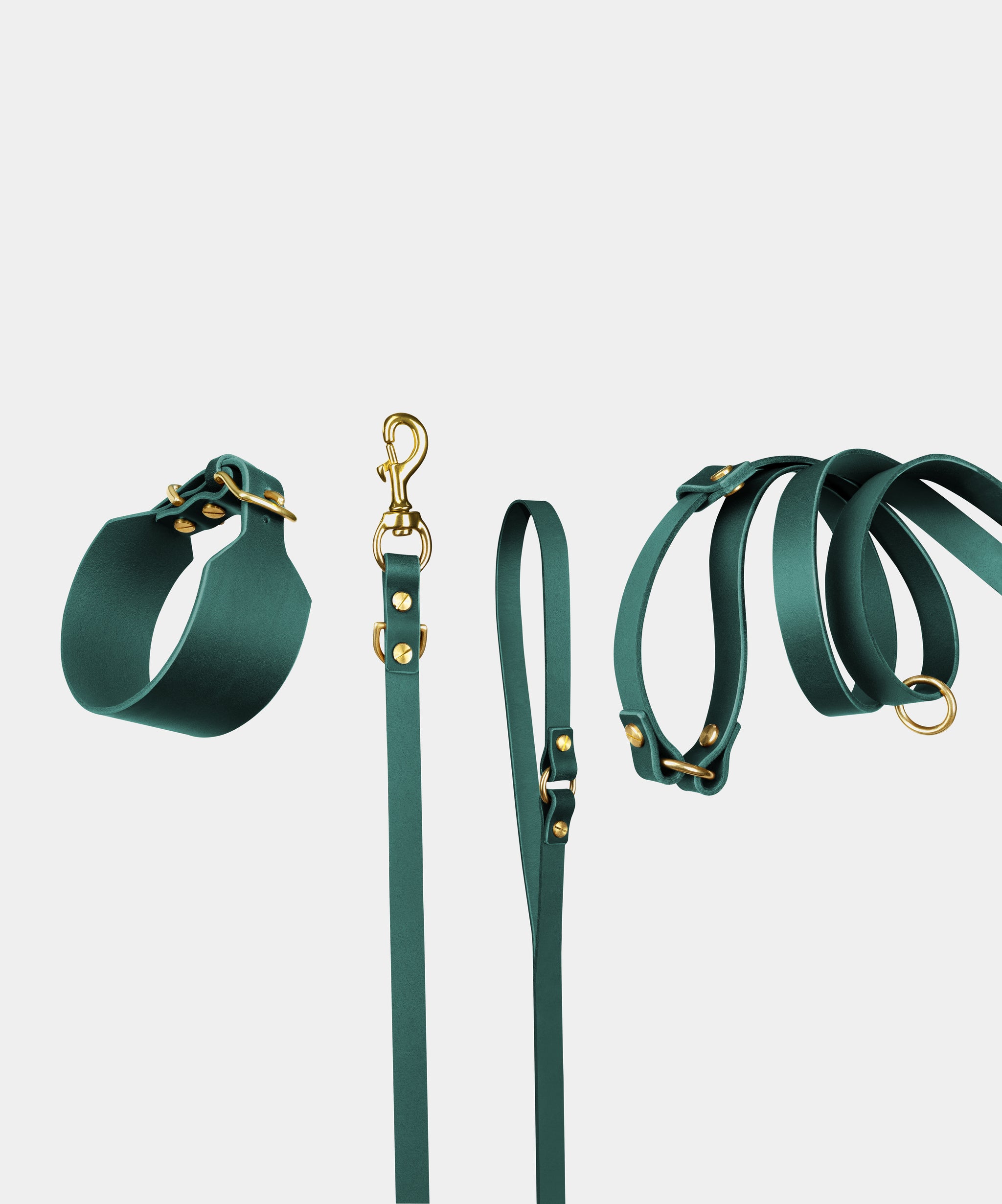 Atlas Leather Collar & Aura Handsfree Leash in Forest Green
