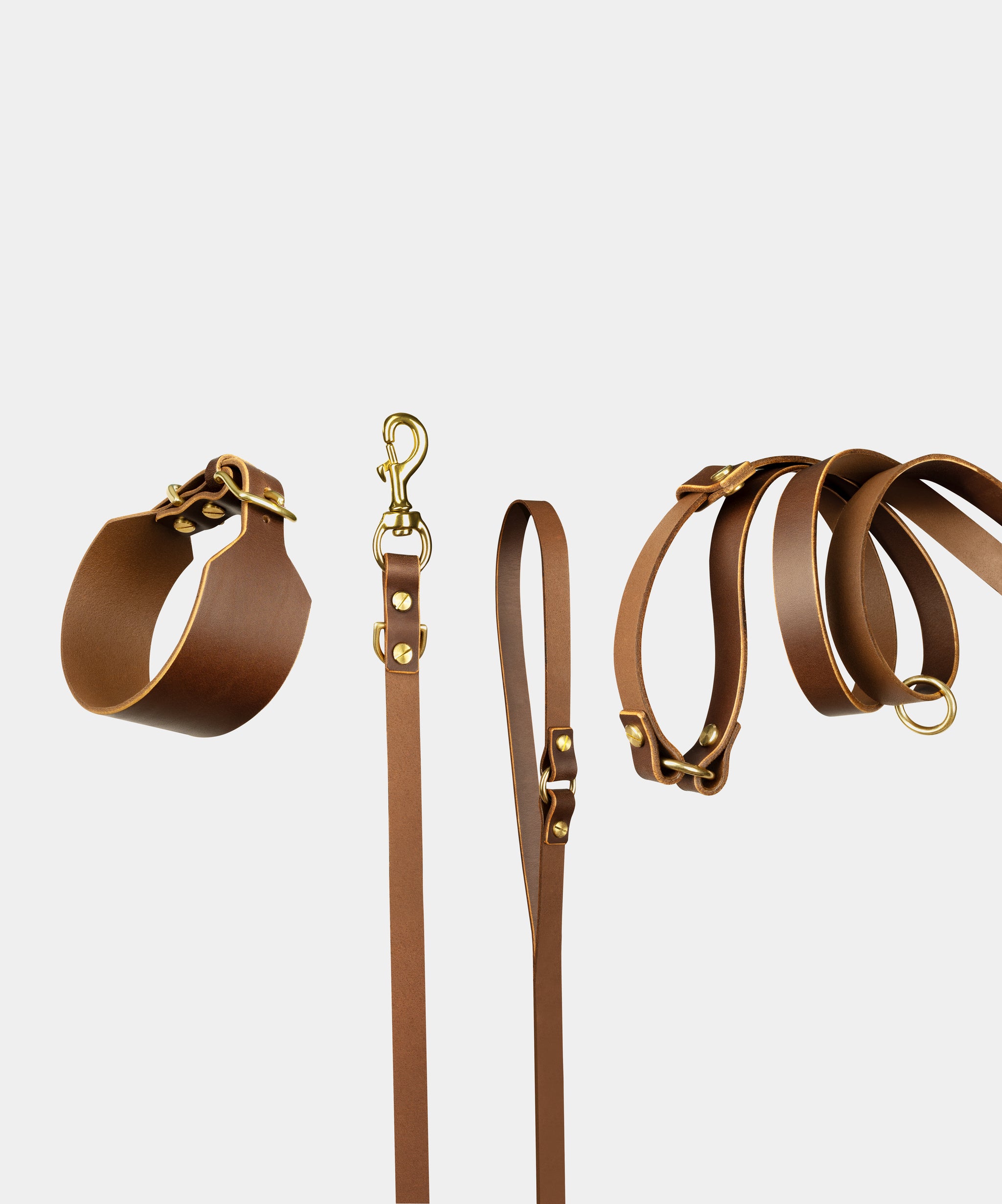 Atlas Leather Collar & Aura Handsfree Leash in Coffee Brown