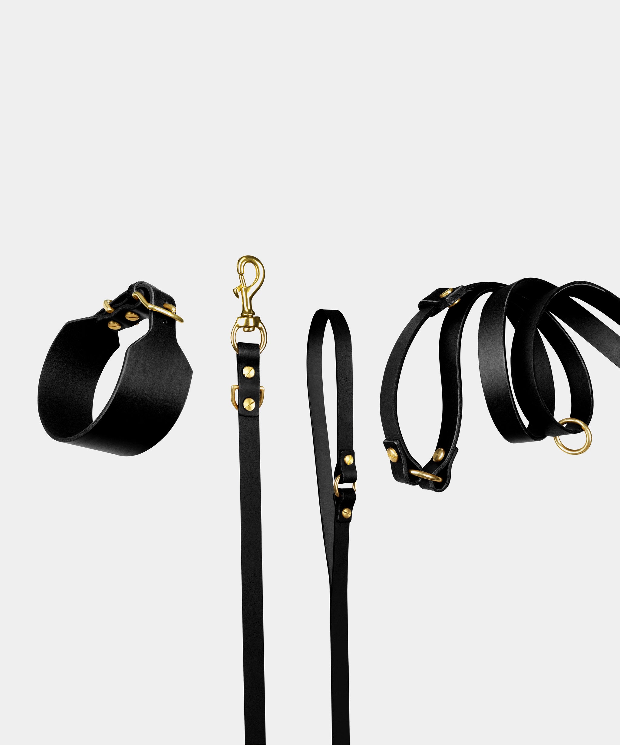 Atlas Leather Collar & Aura Handsfree Leash in Noir