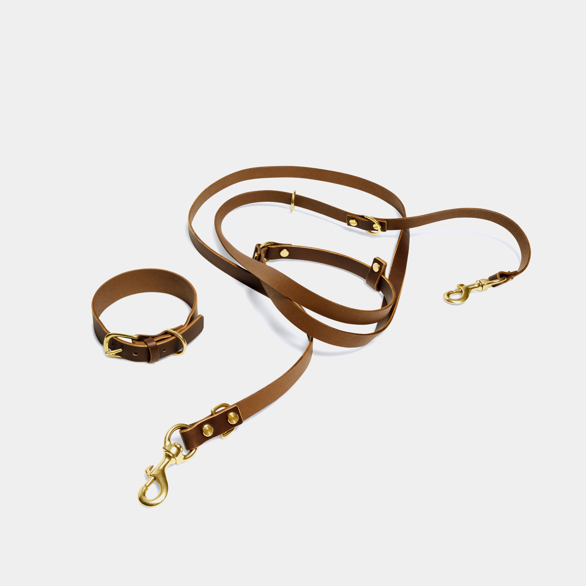 Aura Hands-Free Leather Leash in Coffee Brown