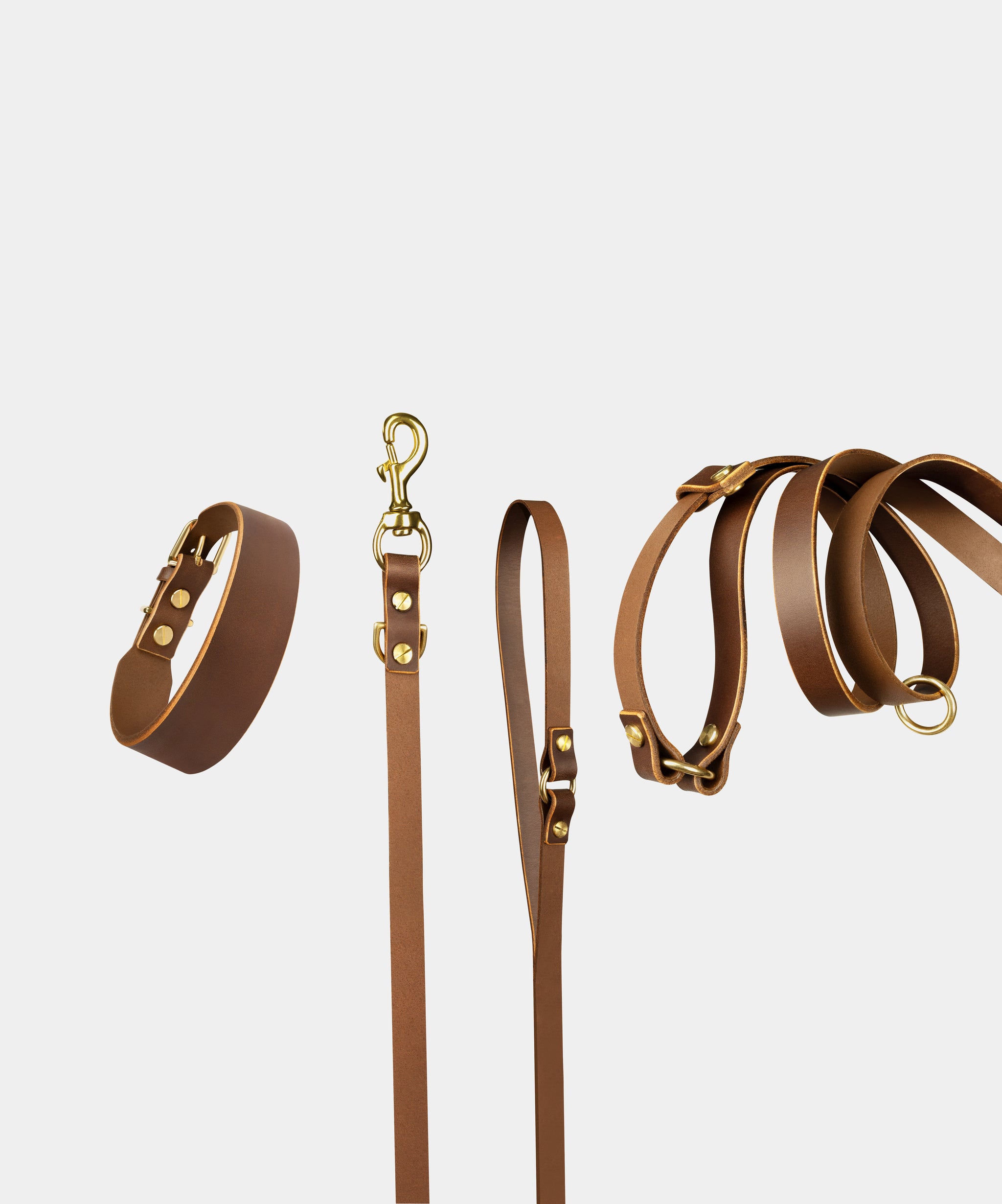 Grace Leather Collar & Aura Handsfree Leash in Coffee Brown