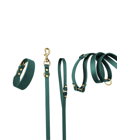 Grace Leather Collar and Aura Handsfree Leash bundle in forest green from The Dogs Company, featuring a stylish collar and versatile leash.