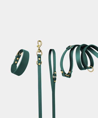 Grace Leather Collar & Aura Handsfree Leash in Forest Green