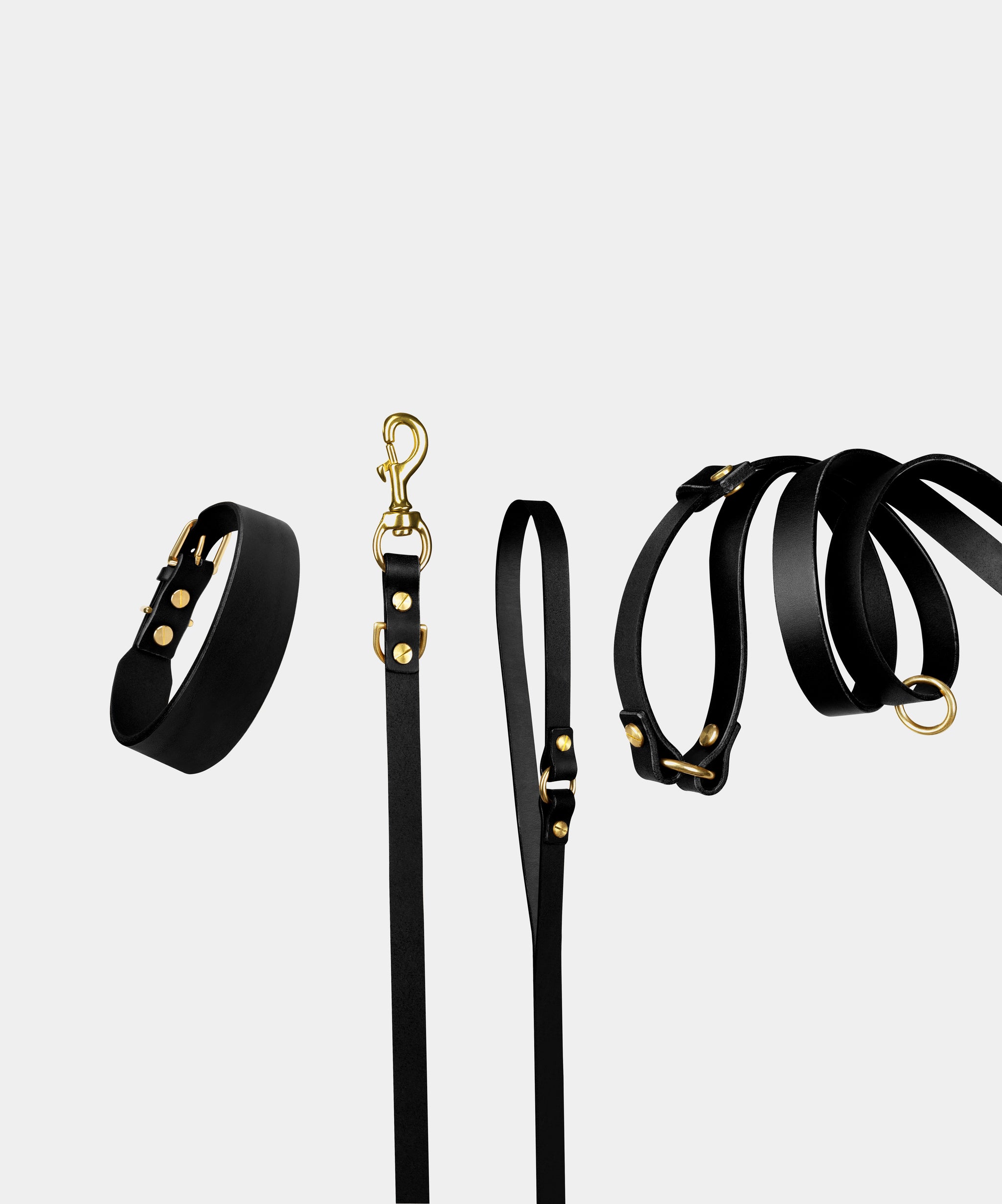 Grace Leather Collar & Aura Handsfree Leash in Noir