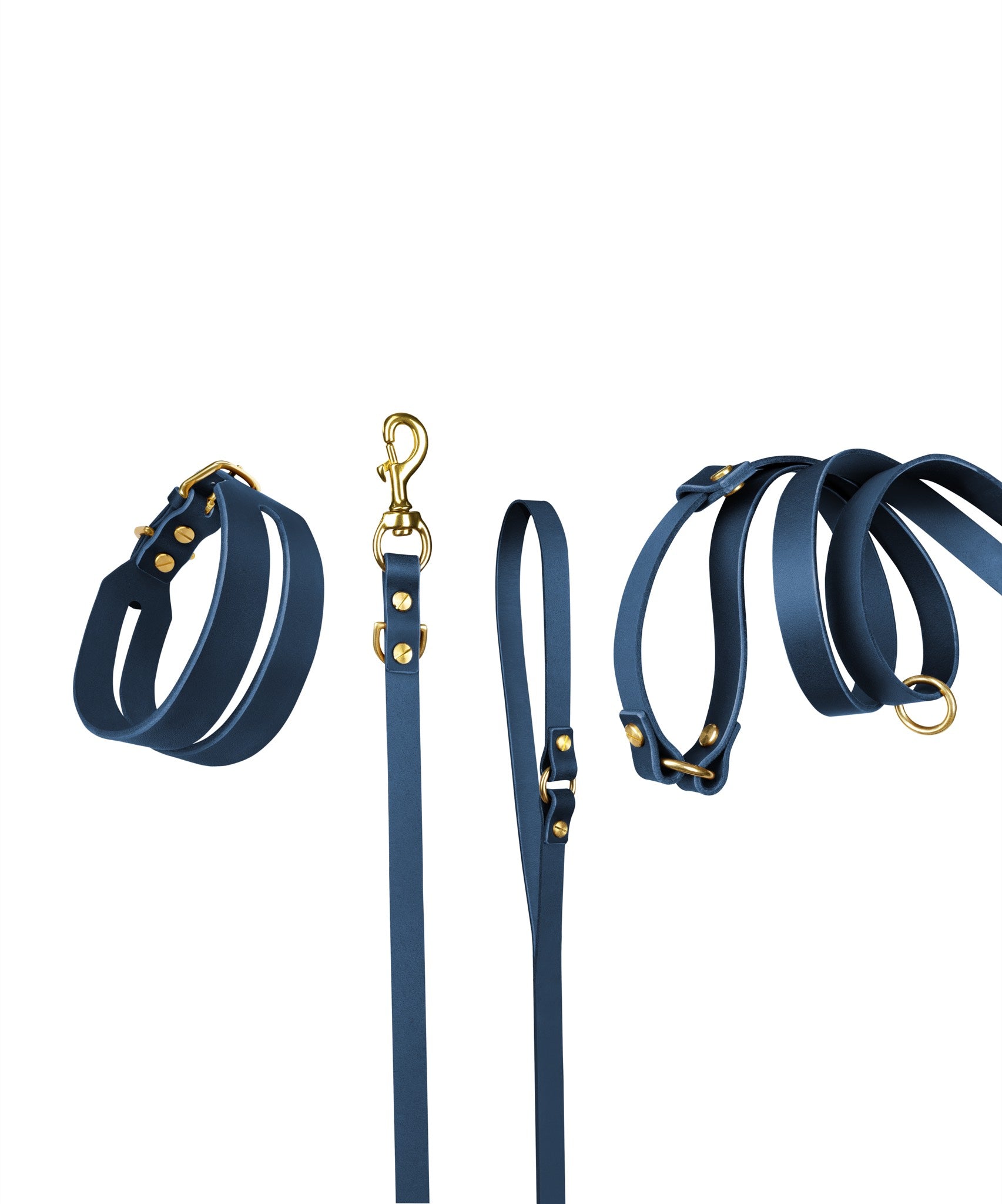 Halo leather collar and Aura handsfree leash bundle from The Dogs Company in midnight navy, with the collar and leash shown together.