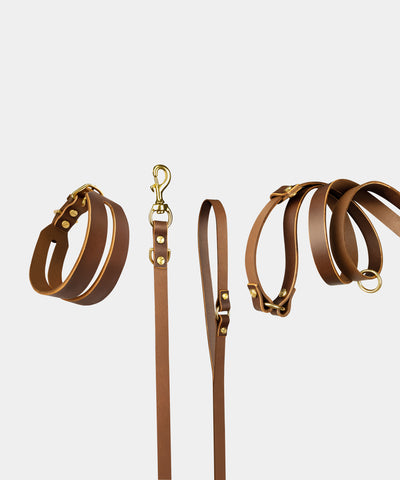 Halo Leather Collar & Aura Handsfree Leash in Coffee Brown