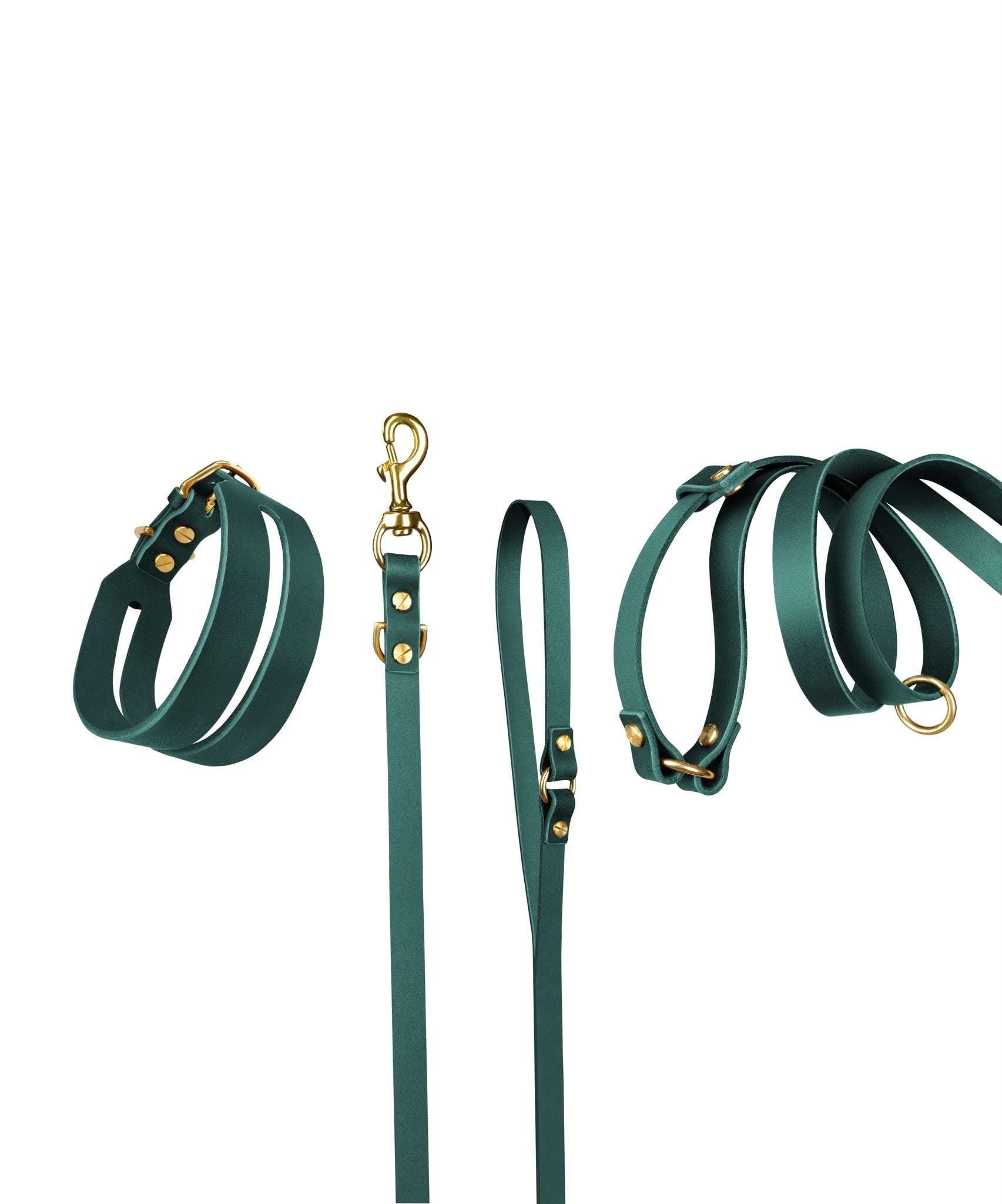 Halo Leather Collar and Aura Handsfree Leash bundle in forest green from The Dogs Company, featuring a leather collar and matching leash.