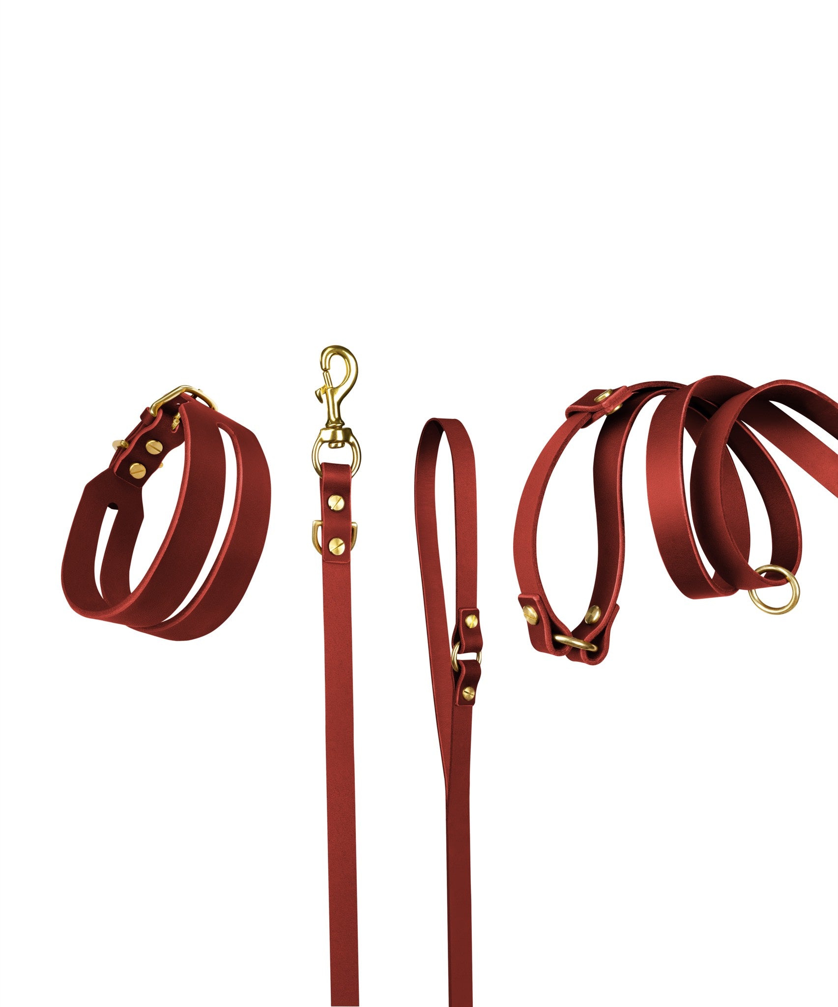 Halo leather collar and Aura handsfree leash bundle in Burgundy Red from The Dogs Company, featuring stylish leather and durable leash.
